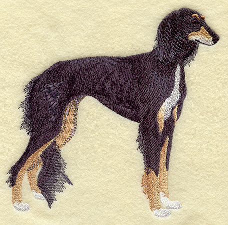 Saluki