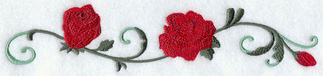 Radiant Rose Border