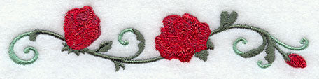 Radiant Rose Border