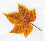 Sugar Maple Leaf