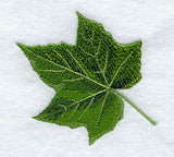 Sugar Maple Leaf