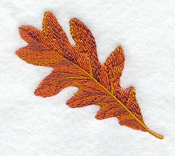 White Oak Leaf