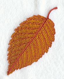 Elm Leaf