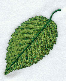 Elm Leaf