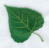 Cottonwood Leaf