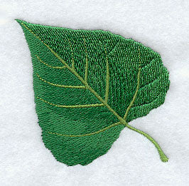 Cottonwood Leaf