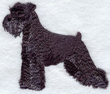 Schnauzer