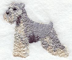 Schnauzer