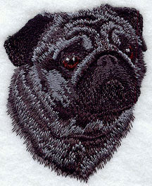 Pug