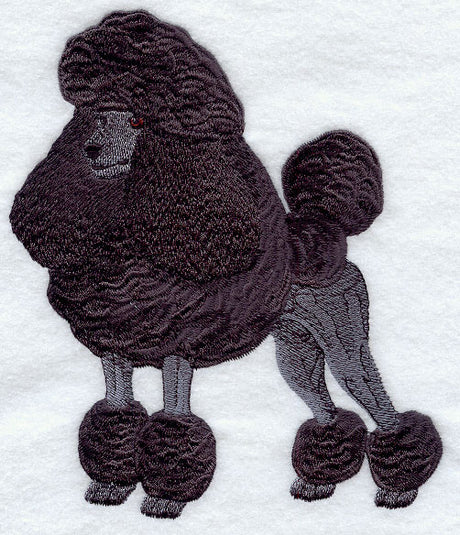 Standard Poodle