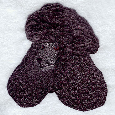 Standard Poodle Head