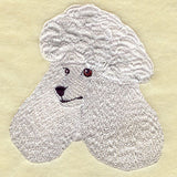 Standard Poodle Head