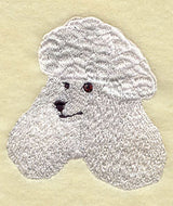 Standard Poodle Head