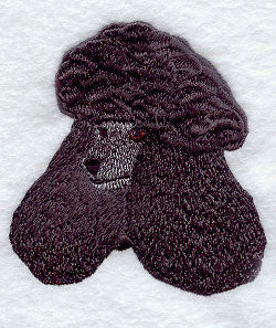 Standard Poodle Head