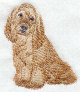 American Cocker Spaniel