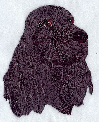 American Cocker Spaniel Head