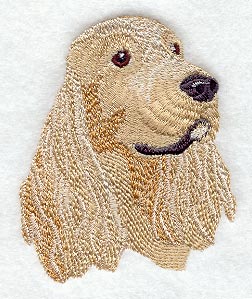 American Cocker Spaniel Head