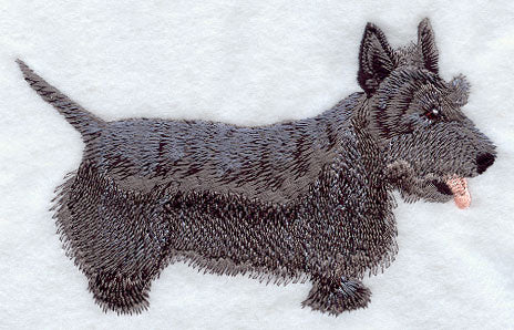 Scottish Terrier