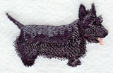 Scottish Terrier