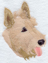 Scottish Terrier Head