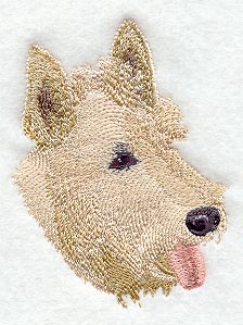 Scottish Terrier Head
