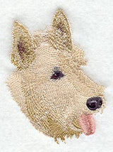 Scottish Terrier Head