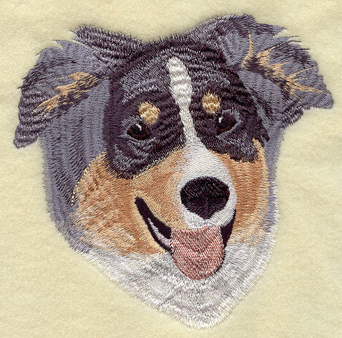 Australian Shepherd Head