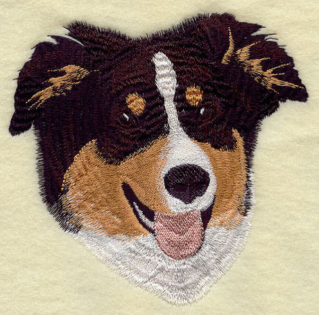 Australian Shepherd Head