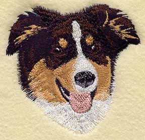 Australian Shepherd Head
