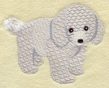 Poodle Puppy
