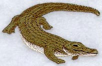 Crocodile