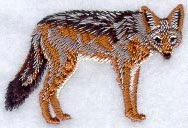 Jackal