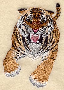 Roaring Tiger - Body